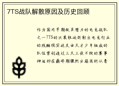 7TS战队解散原因及历史回顾